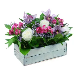 Романтичная оперетта